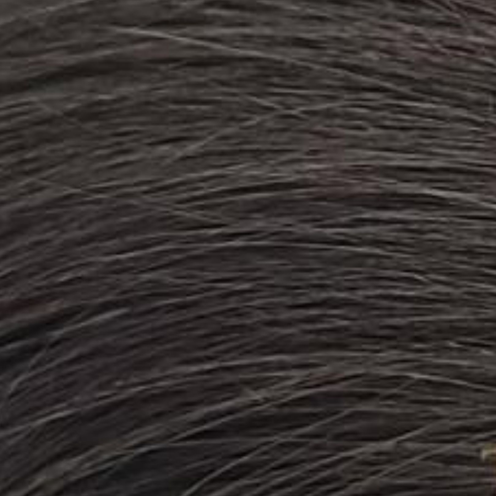 Ekstenzija rep od prirodne kose 65cm - Nijansa 3